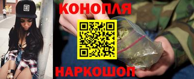 сатива Можга