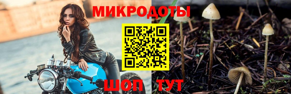 Галлюциногенные грибы GOLDEN TEACHER  Вход с VPN  Псилоцибиновые грибы MAGIC MUSHROOMS  Верхняя Пышма 